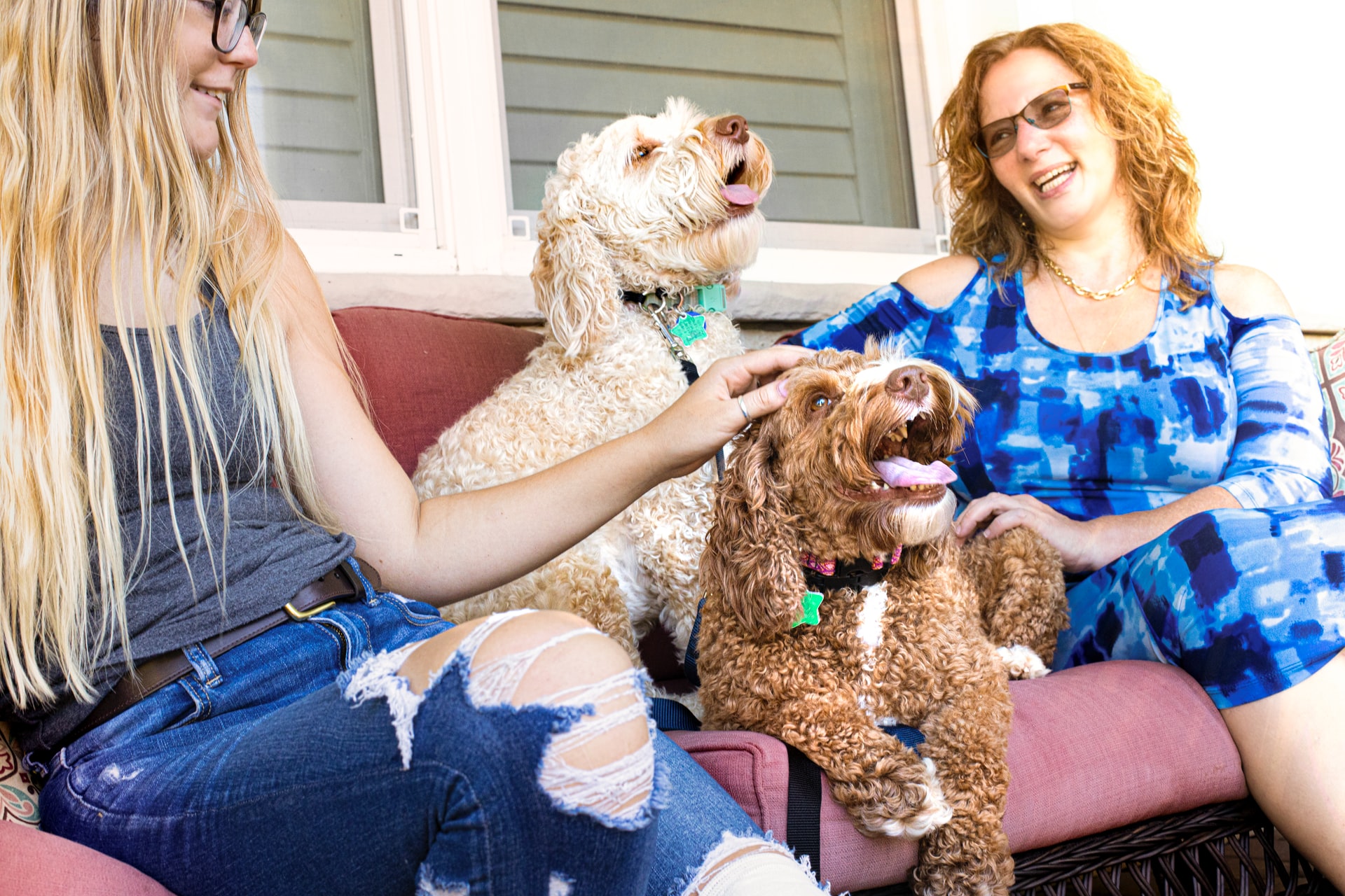 two people on a couch with two dogs