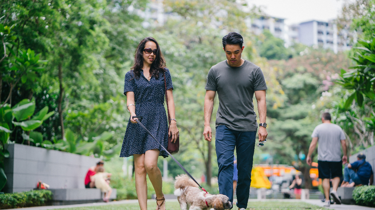 couple walking dog in park