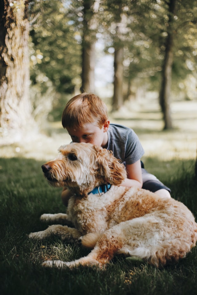 a blond boy hugging his dog
